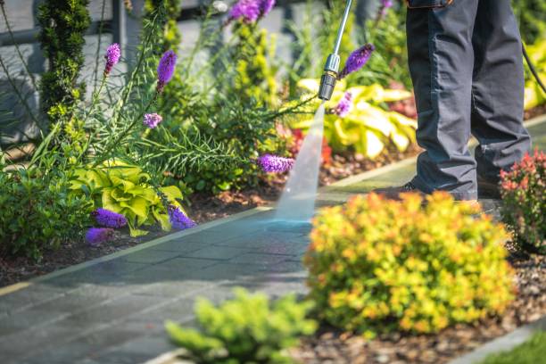 Best Fence Cleaning  in Sheridan, OR